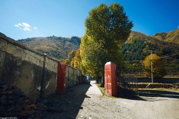_DSC8856.jpg