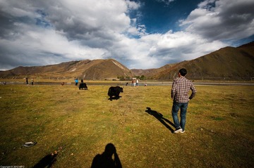 _DSC9063.jpg