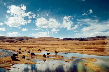 _DSC9182.jpg
