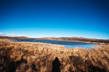 _DSC9205.jpg