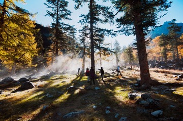 _DSC9595.jpg