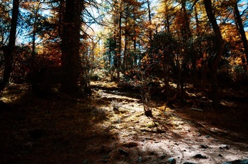 _DSC9829.jpg