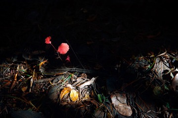 _DSC9927.jpg