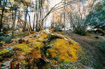 _DSC9932.jpg