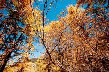_DSC9933.jpg