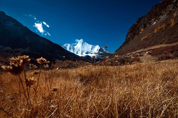 _DSC9792.jpg