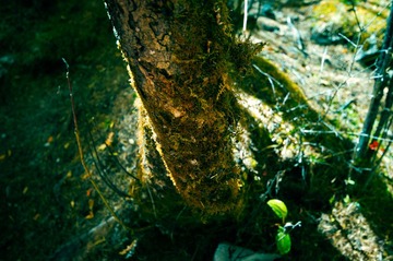 _DSC9846.jpg
