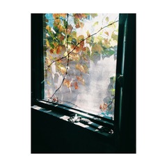 SI_20141015_134313