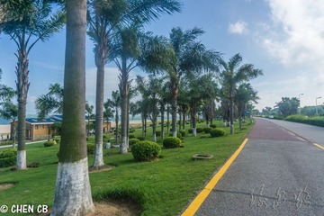 环岛路25