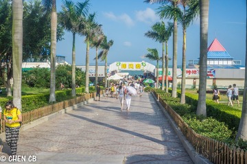 环岛路27