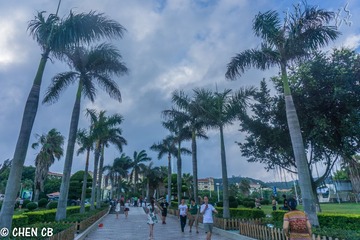 环岛路29
