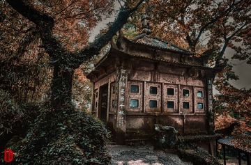 西泠印社
