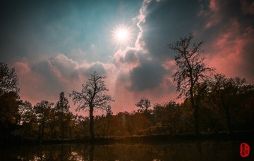 醉在夕阳