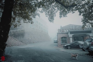 雾中的山村