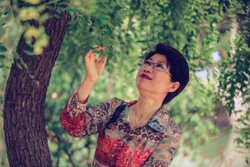 树荫下