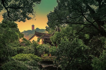 雨中的寄畅园