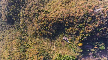 DJI_0308