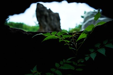 _DSC1847