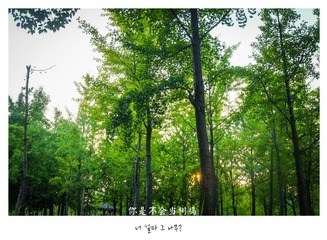 IMG_7187-2