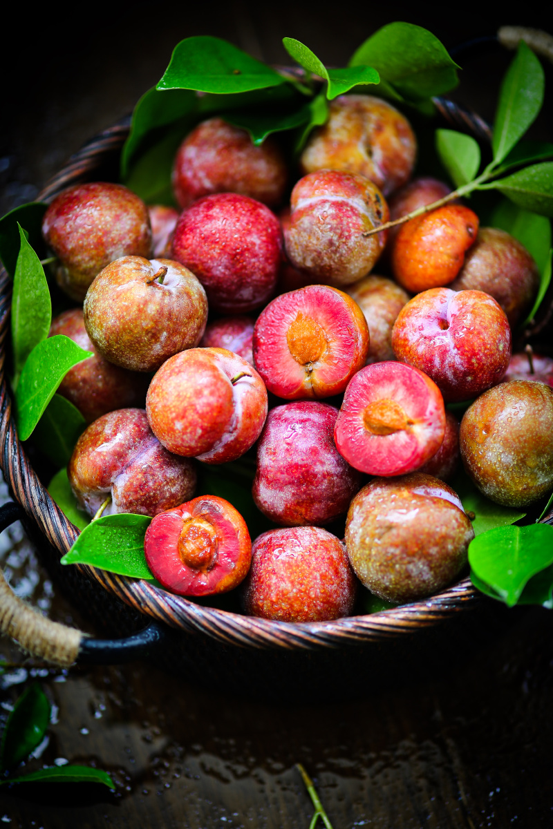 三华李 - 涛饕不自觉 - 图虫