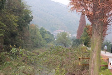 IMG_0194.JPG