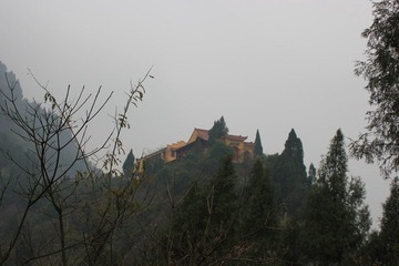IMG_0204.JPG