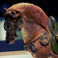 P1020124.1.JPG