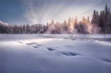 雪村日出