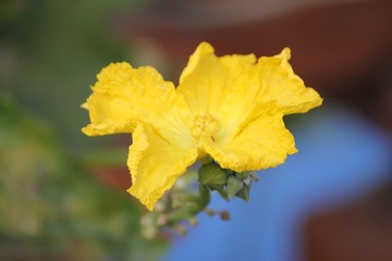 IMG_0965.JPG