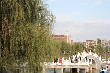 IMG_1037.JPG