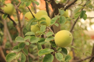 IMG_2873.JPG