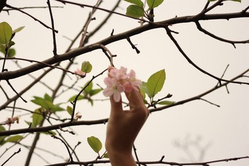 IMG_2945.JPG