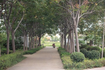 IMG_0799.JPG