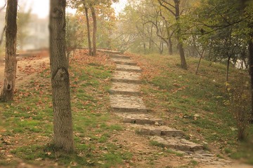 IMG_3433_副本.jpg