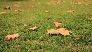 IMG_3389_副本.jpg