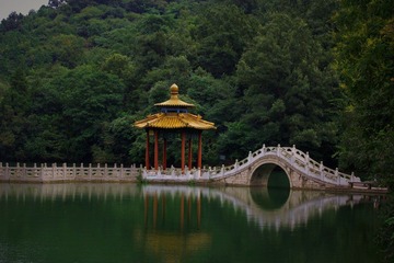 IMG_5554.jpg