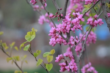 IMG_5798_副本.jpg