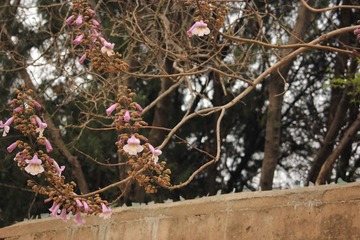 IMG_5823_副本.jpg