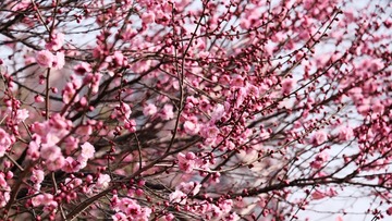 1FD4ED15-458D-414E-AB2F-8B06FD09B357/L0/001