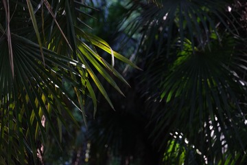 1F0003B8-1D79-4BD9-9C0F-41FD66CBDA96/L0/001
