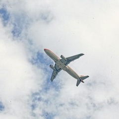 DPP_0380.JPG