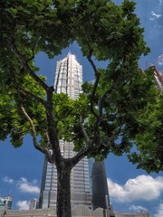 DPP_0457.JPG