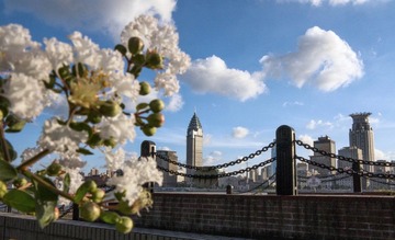 DPP_0482.JPG