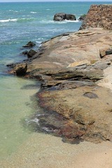 DSC_7232.jpg