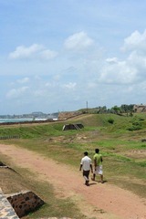 DSC_7240.jpg