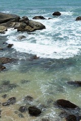 DSC_7242.jpg