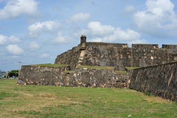 DSC_7344.jpg