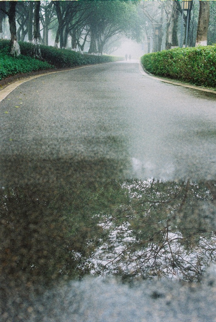 在厦门，不下雨的日子最近有点少了