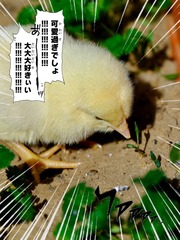 EA8B755A-E179-4657-B05B-F029B1417B21/L0/001