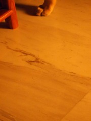 P1224201.JPG